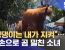 "댕댕이는 내가 지켜~" 맨손으로 곰 밀친 소녀...이거 정말 대박이다..