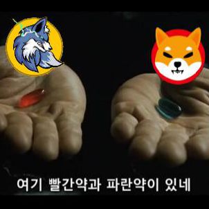 WOLFCOIN or SHIBA INU? (feat. Matrix, John Wick)