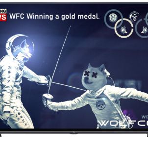 WFC Winning a gold medal : WOLFCOIN