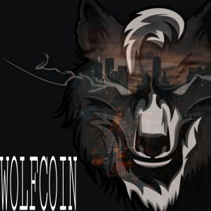 City Viewed Through WOLFCOIN