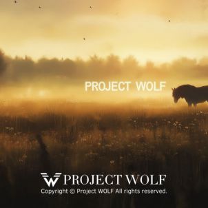 PROJECT WOLF!!  In the new morning!!