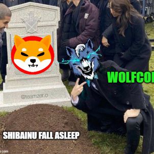 shibainu fall asleep - WOLFCOIN - WOLFKOREA