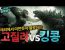 고질라 VS 콩