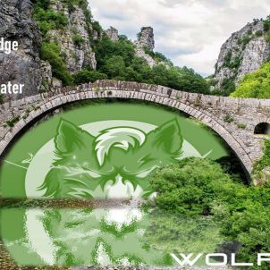 Like a bridge  of  troubled water : WOLFCOIN