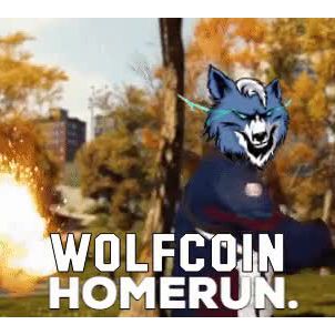 WOLFCOIN : HOMERUN.