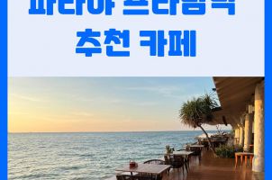 프라탐낙 씨뷰 카페를 추천하는 이유 (스카이갤러리, 초콜렛팩토리, 포레스트바이더스카이, 옥시젠, 루나비치하우스, 3머메이드, 클리프비치, 브리지오)