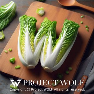 Project Wolf / W - Napa Cabbage (Bae Chu)