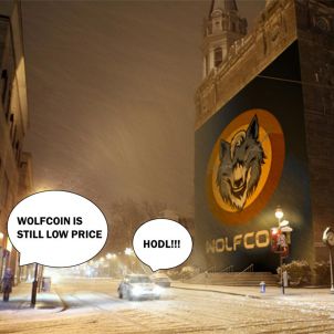 비가오고 눈이와도 울프코인 EVEN IF IT RAINS OR SNOWS, WOLFCOIN