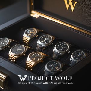 Project Wolf_The Timekeeper's Treasure