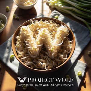 Project Wolf / W - Bean Sprout (Kong Na Mul)