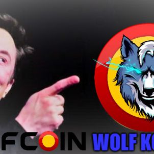 일론머스크의 선택 - 울프코인 - WOLFCOIN - Elon Musk