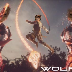 No more Shiba : WOLFCOIN (수정본 2개)