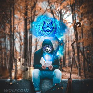 WOLFCOIN is magic.