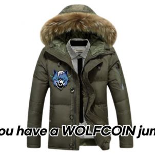 Do you have a WOLFCOIN jumper?