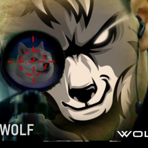 Sniper WOLF : WOLFCOIN