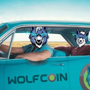 Hey bro, where are you traveling? Why don't you go with WOLFCOIN?