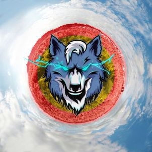 Wolfcoin high quality logo image series 4