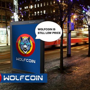 도시는 울프코인을 원한다 THE CITY WANTS WOLFCOIN