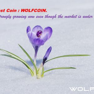 Strongest Coin : WOLFCOIN.