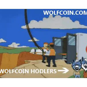 WOLFCOIN hodlers : Look at that Shiba army!