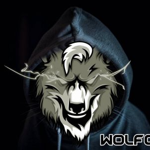 Wolfcoin hidden in the dark