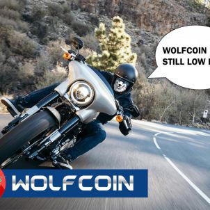 광야를 누비는 울프코인 늑대 WOLFCOIN LEO WOLF RUNNING IN THE WILDERNESS