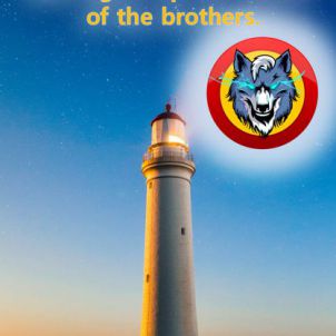 WOLFCOIN will be a lighthouse.