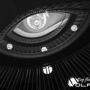 Top floor eyes : WOLFCOIN eyes