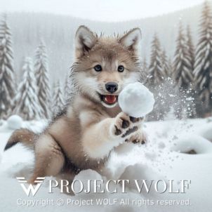 Project Wolf 동심