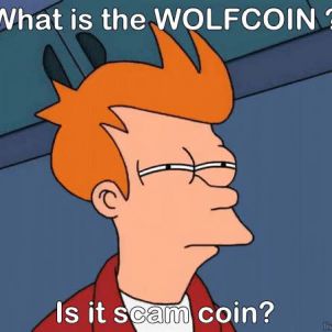 ??? : WOLFCOIN 그거 스캠코인 아니냐!?