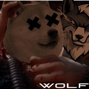 WOLFCOIN : FATALITY SHIBA 2