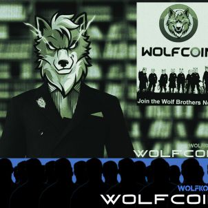 Hey Bros... Why don't you join us? : WOLFCOIN