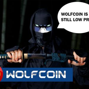 울프코인이냐 칼이냐 WOLFCOIN OR SWORD?