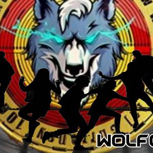 Dynamic Wolfcoin