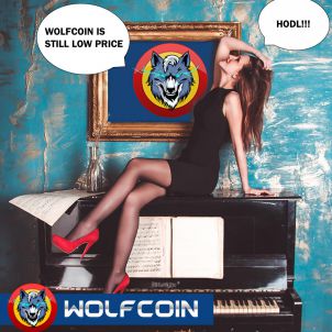 울프코인에 빠지다 FALLEN INTO WOLFCOIN