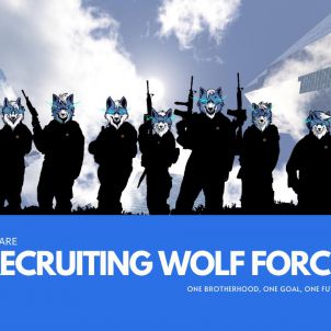 Recruiting Wolf Force, wolfcoin