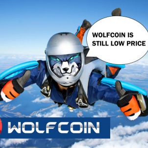 하늘에서도 이어지는 울프코인 인증 WOLFCOIN AUTH IN THE SKY