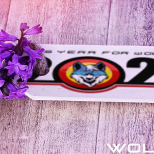 WOLFCOIN ENJOY 2022 SPRING SEASON WITH YOU