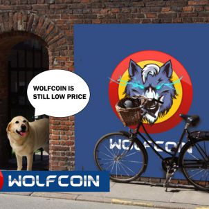 심지어 강아지도 원하는 울프코인 EVEN A PUPPY WANTS WOLFCOIN