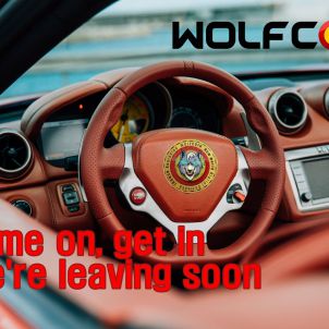 Come on, get in WOLFCOIN