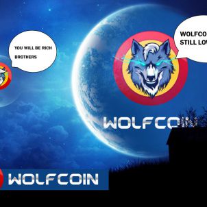 저 멀리에서 울프코인이 온다 WOLFCOIN IS COMING IN THE DISTANCE