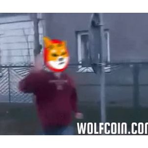 WOLFCOIN : Don't do it! Shiba!!!