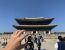 Wolfhand at Gyeongbokgung Palace