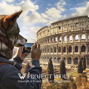 Project Wolf_The Roman Perspective