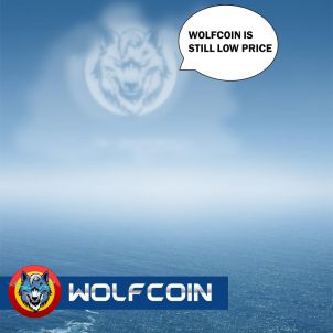 하늘에서 지켜보는 울프코인 Wolfcoin watching from the sky