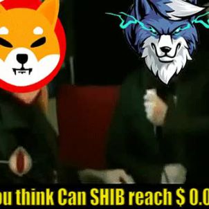 시바이누가 떡상할수 있나요? / Will Shiba Inu (SHIB) hit $.00001 ? , WOLFCOIN