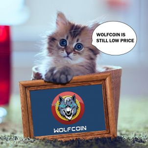 고양이도 원하는 울프코인 WOLFCOIN EVEN CATS WANT