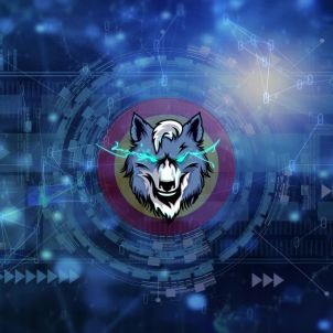 Wolfcoin era remix version