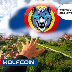 울프코인을 향한 욕망 DESIRE FOR WOLFCOIN