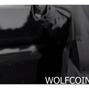 WOLFCOIN : Don't touch my girl Shiba